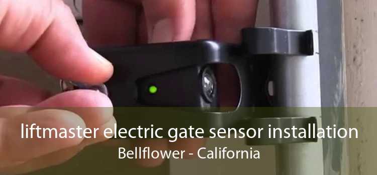 liftmaster electric gate sensor installation Bellflower - California