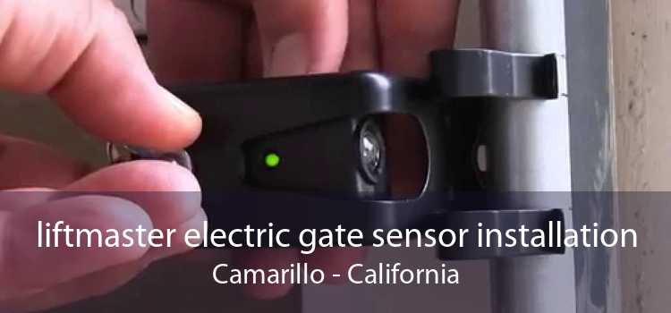 liftmaster electric gate sensor installation Camarillo - California