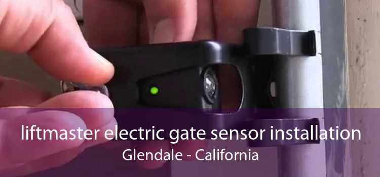 liftmaster electric gate sensor installation Glendale - California