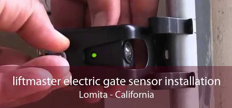 liftmaster electric gate sensor installation Lomita - California