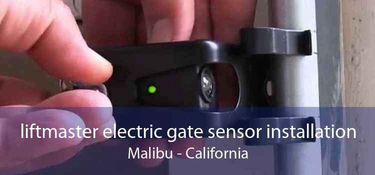 liftmaster electric gate sensor installation Malibu - California
