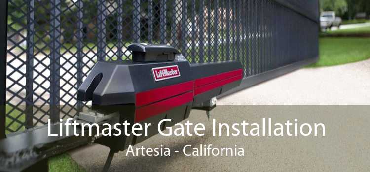 Liftmaster Gate Installation Artesia - California