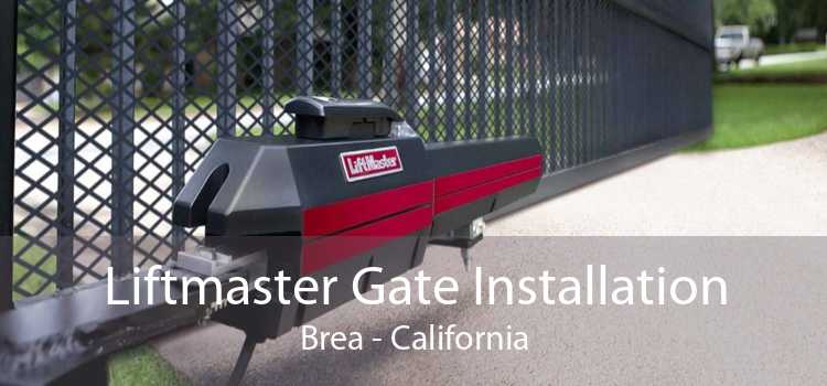 Liftmaster Gate Installation Brea - California