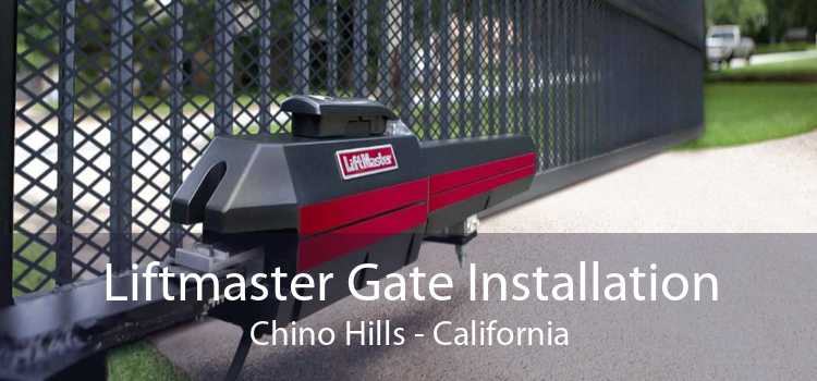 Liftmaster Gate Installation Chino Hills - California