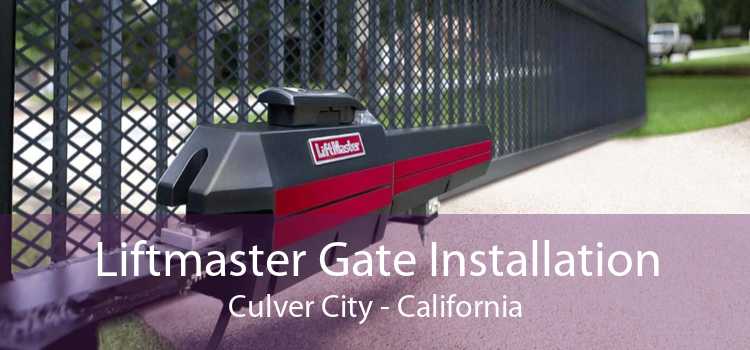 Liftmaster Gate Installation Culver City - California