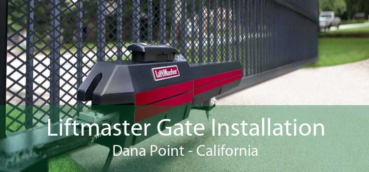 Liftmaster Gate Installation Dana Point - California