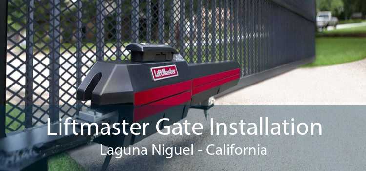 Liftmaster Gate Installation Laguna Niguel - California