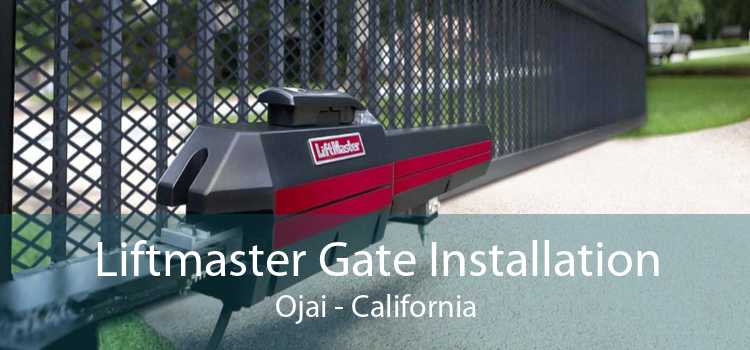 Liftmaster Gate Installation Ojai - California