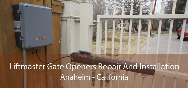 Liftmaster Gate Openers Repair And Installation Anaheim - California