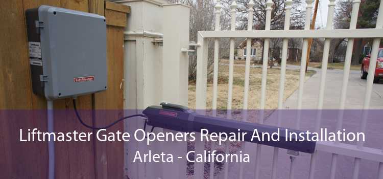 Liftmaster Gate Openers Repair And Installation Arleta - California