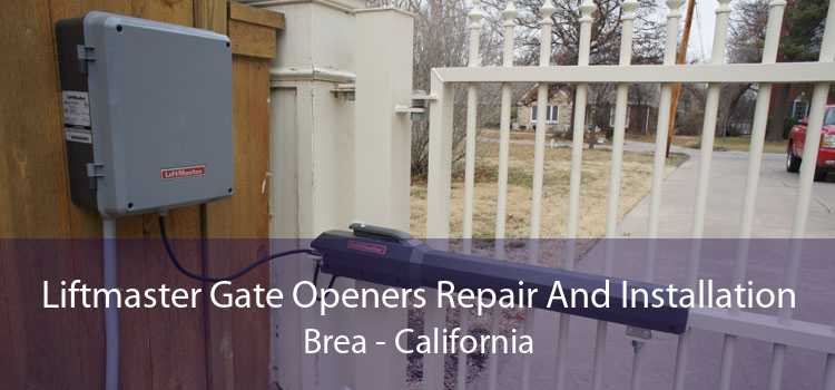 Liftmaster Gate Openers Repair And Installation Brea - California