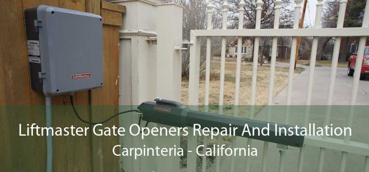 Liftmaster Gate Openers Repair And Installation Carpinteria - California