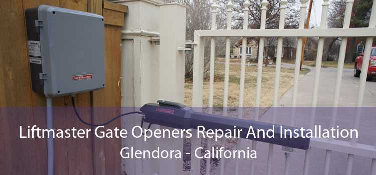 Liftmaster Gate Openers Repair And Installation Glendora - California