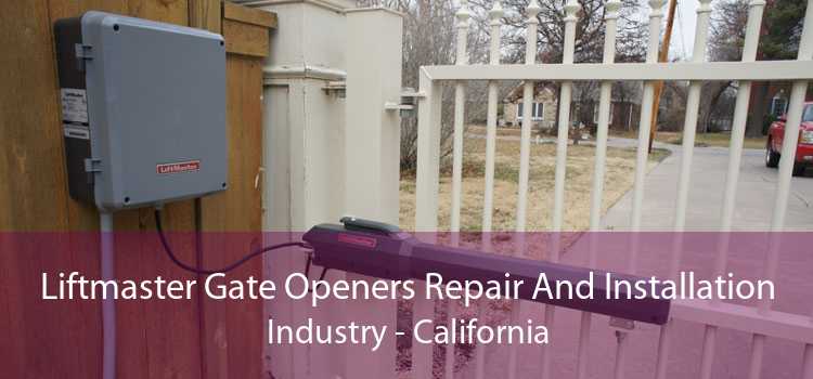 Liftmaster Gate Openers Repair And Installation Industry - California