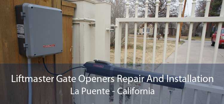 Liftmaster Gate Openers Repair And Installation La Puente - California