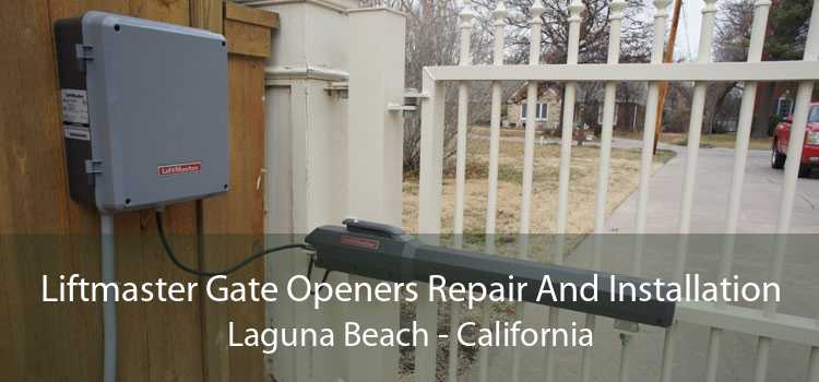 Liftmaster Gate Openers Repair And Installation Laguna Beach - California