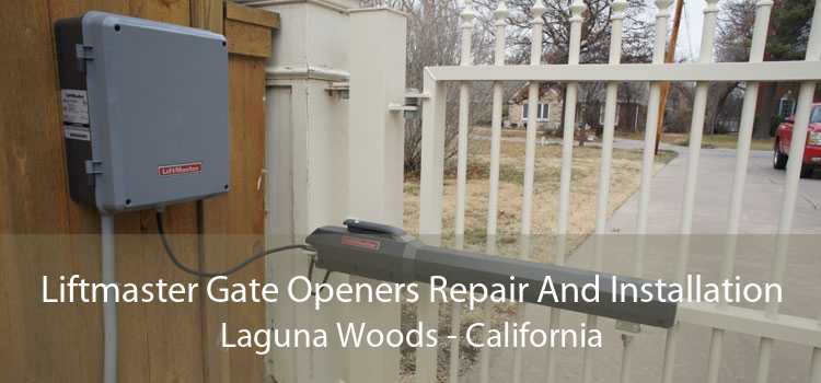 Liftmaster Gate Openers Repair And Installation Laguna Woods - California