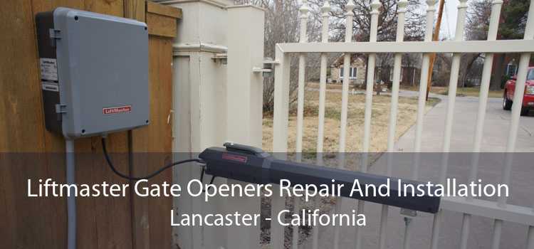 Liftmaster Gate Openers Repair And Installation Lancaster - California