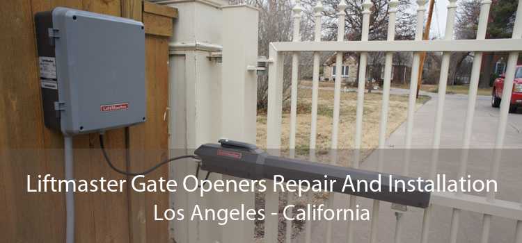 Liftmaster Gate Openers Repair And Installation Los Angeles - California