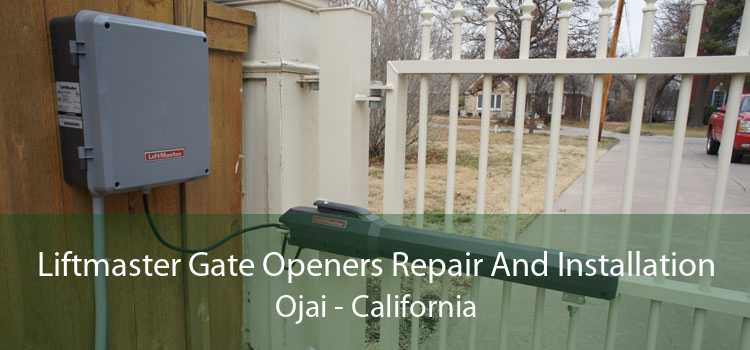 Liftmaster Gate Openers Repair And Installation Ojai - California