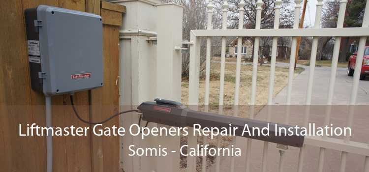 Liftmaster Gate Openers Repair And Installation Somis - California