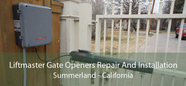 Liftmaster Gate Openers Repair And Installation Summerland - California