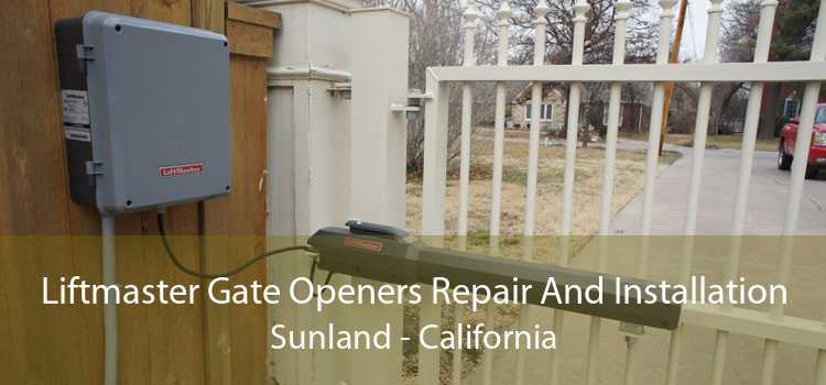 Liftmaster Gate Openers Repair And Installation Sunland - California