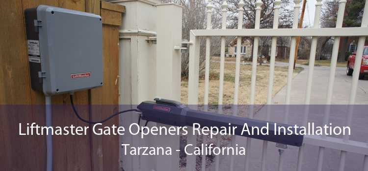 Liftmaster Gate Openers Repair And Installation Tarzana - California