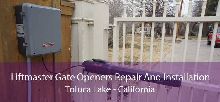 Liftmaster Gate Openers Repair And Installation Toluca Lake - California