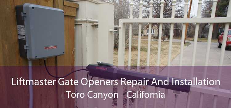Liftmaster Gate Openers Repair And Installation Toro Canyon - California