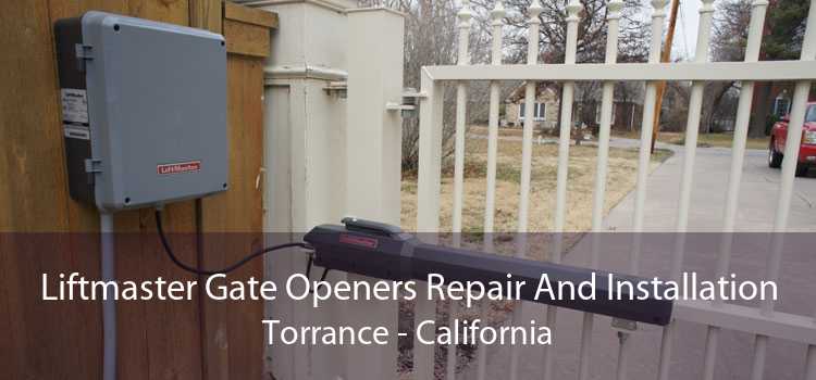 Liftmaster Gate Openers Repair And Installation Torrance - California