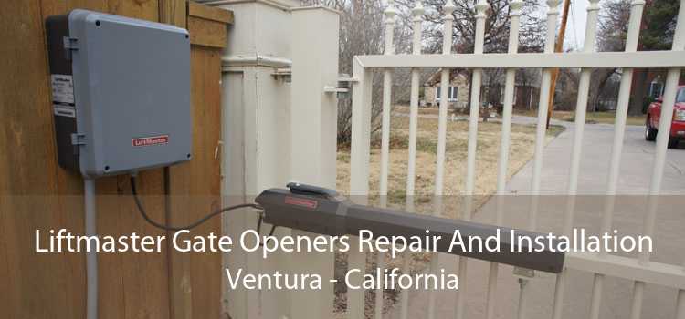 Liftmaster Gate Openers Repair And Installation Ventura - California