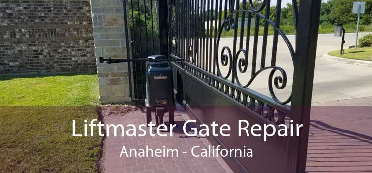 Liftmaster Gate Repair Anaheim - California