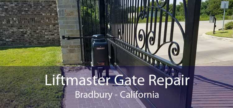 Liftmaster Gate Repair Bradbury - California