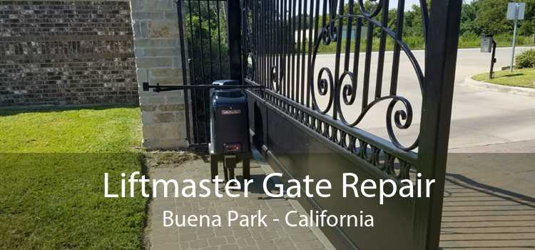 Liftmaster Gate Repair Buena Park - California
