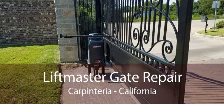 Liftmaster Gate Repair Carpinteria - California