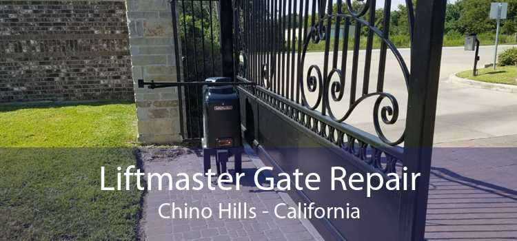 Liftmaster Gate Repair Chino Hills - California