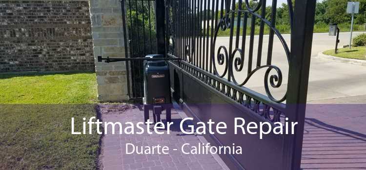 Liftmaster Gate Repair Duarte - California