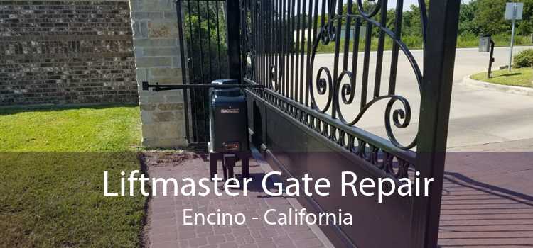 Liftmaster Gate Repair Encino - California