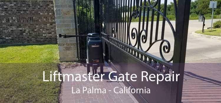 Liftmaster Gate Repair La Palma - California