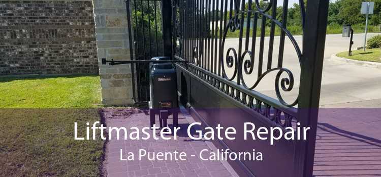 Liftmaster Gate Repair La Puente - California