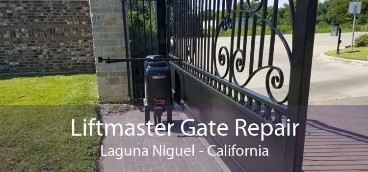 Liftmaster Gate Repair Laguna Niguel - California