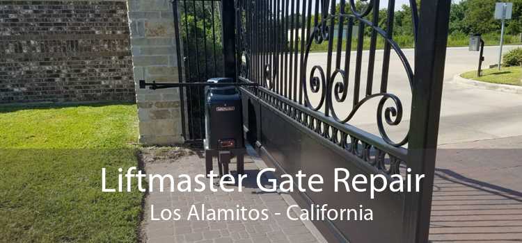 Liftmaster Gate Repair Los Alamitos - California