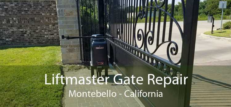 Liftmaster Gate Repair Montebello - California