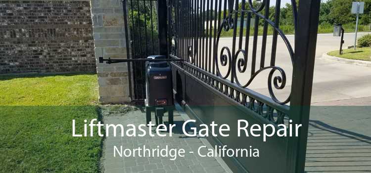 Liftmaster Gate Repair Northridge - California