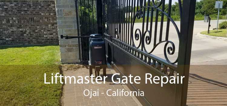 Liftmaster Gate Repair Ojai - California