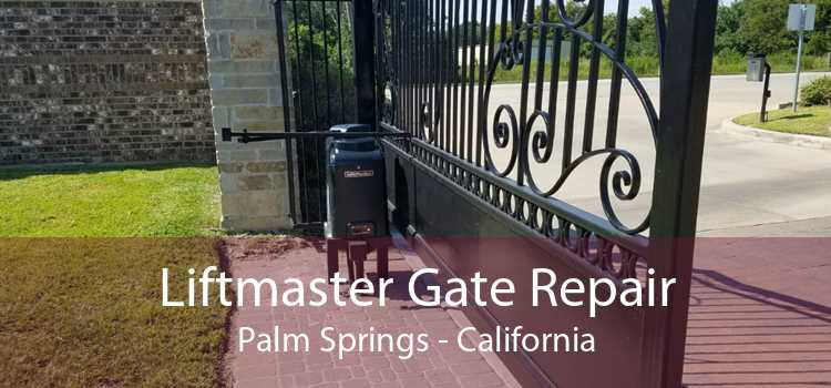Liftmaster Gate Repair Palm Springs - California
