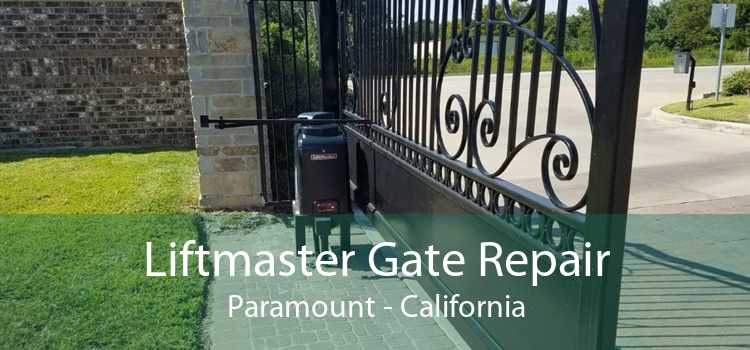 Liftmaster Gate Repair Paramount - California