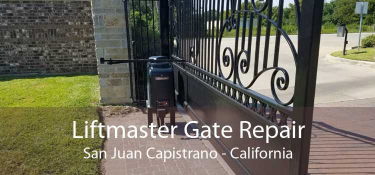 Liftmaster Gate Repair San Juan Capistrano - California
