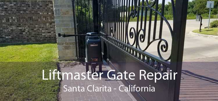 Liftmaster Gate Repair Santa Clarita - California